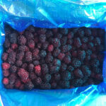 Blackberries 1