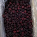 Blackberries 2