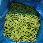 Edamame 1