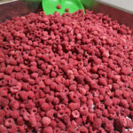 Raspberry Whole 1