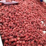 Raspberry Whole 2