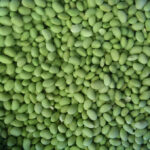 Soybean Kernels 1